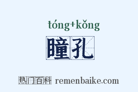 瞳孔是什么意思的图片